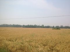 iphone_upload_pic-台北101