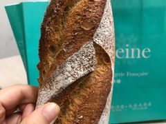 -Madeleine玛德琳(永平里店)