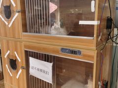 -A猫a狗全科·犬猫异宠·芥西宠物医院(南开总院)