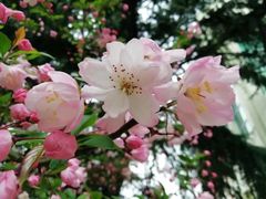 -上海大学(嘉定校区)