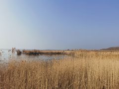 -野鸭湖国家湿地公园