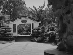-南山植物园