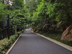 -龟山风景区-龟山电视塔