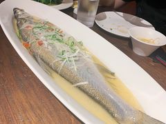 清蒸太湖白鱼-金枝玉叶上海人家食府(三里河店)