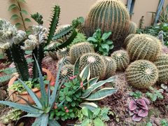 -正佳雨林生态植物园