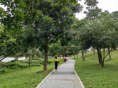 -风云岭森林公园