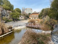 -上海吴淞炮台湾国家湿地公园