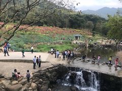 -广州市石门国家森林公园