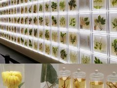 -广东中医药博物馆