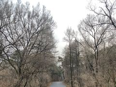 -萨尔浒风景区