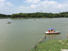 -昆山城市生态森林公园