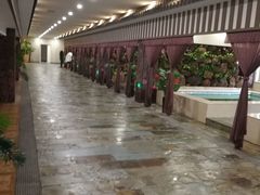 -将军石酒店温泉
