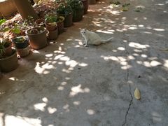 -广东省第二中医院(总院)