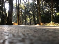 -昆明市金殿名胜区