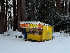 -北海道神宫