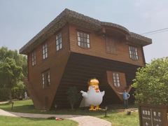 -金山农民画村-枫泾波兰倒置屋