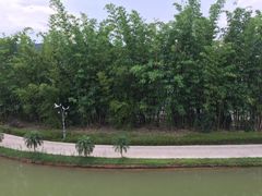 -湖泉半山温泉