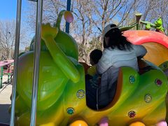 -朝阳公园游乐园