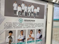 -谐和益家动物医院·免疫绝育·血液透析·宠保定点医院(高新伊藤分院)