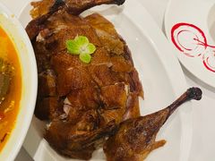 -圆苑(金茂店)