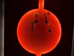 -海上云汇·影院足道·spa(古美店)