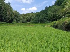 -韶山毛泽东同志故居