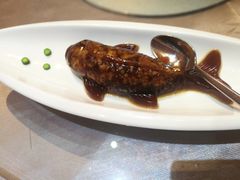 -天宁凯利时尚餐厅