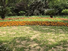 -吴淞炮台湾湿地森林公园烧烤区