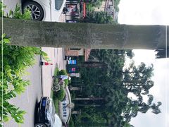 -重庆海昌加勒比海水世界