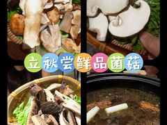 -滇野云南野生菌餐厅(陕西南路店)