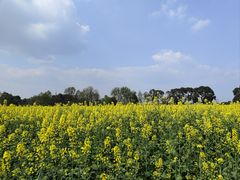 -中国天府农业博览园