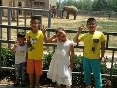 -石家庄市动物园