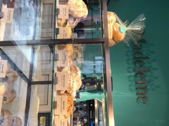 -Madeleine玛德琳(永平里店)