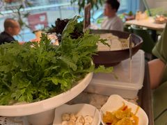 -烹然四季椰子鸡火锅(姚家园万象汇店)