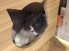 -小时光咖啡馆(开森度假森林店)