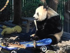 -大连森林动物园