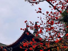 -粤剧艺术博物馆