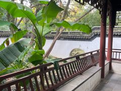 -秋霞圃