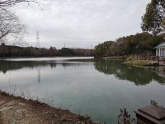 -新洲生态园