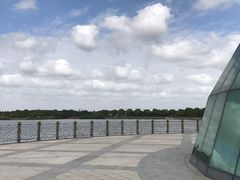 -上海都市菜园