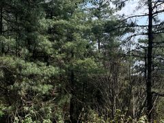 -苍山感通索道