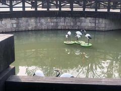-峙山公园