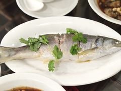 -长平肥姐白粥·海鲜打冷