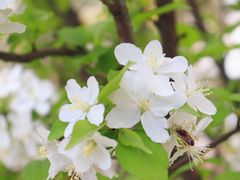 -复旦大学本部-食堂