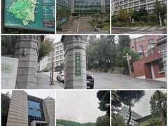 -金北顺大锅家(신사본점)