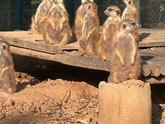 -秦皇岛野生动物园