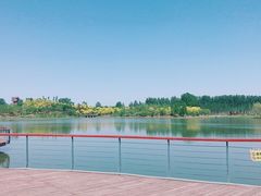 -东郊湿地公园