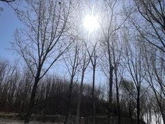 -汉长安城未央宫国家考古遗址公园