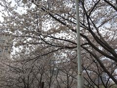 -西北湖绿化广场
