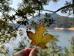 -广州市流溪河国家森林公园